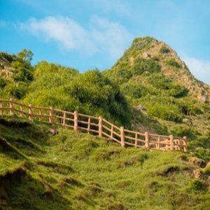 91精品人妻露脸刺激
